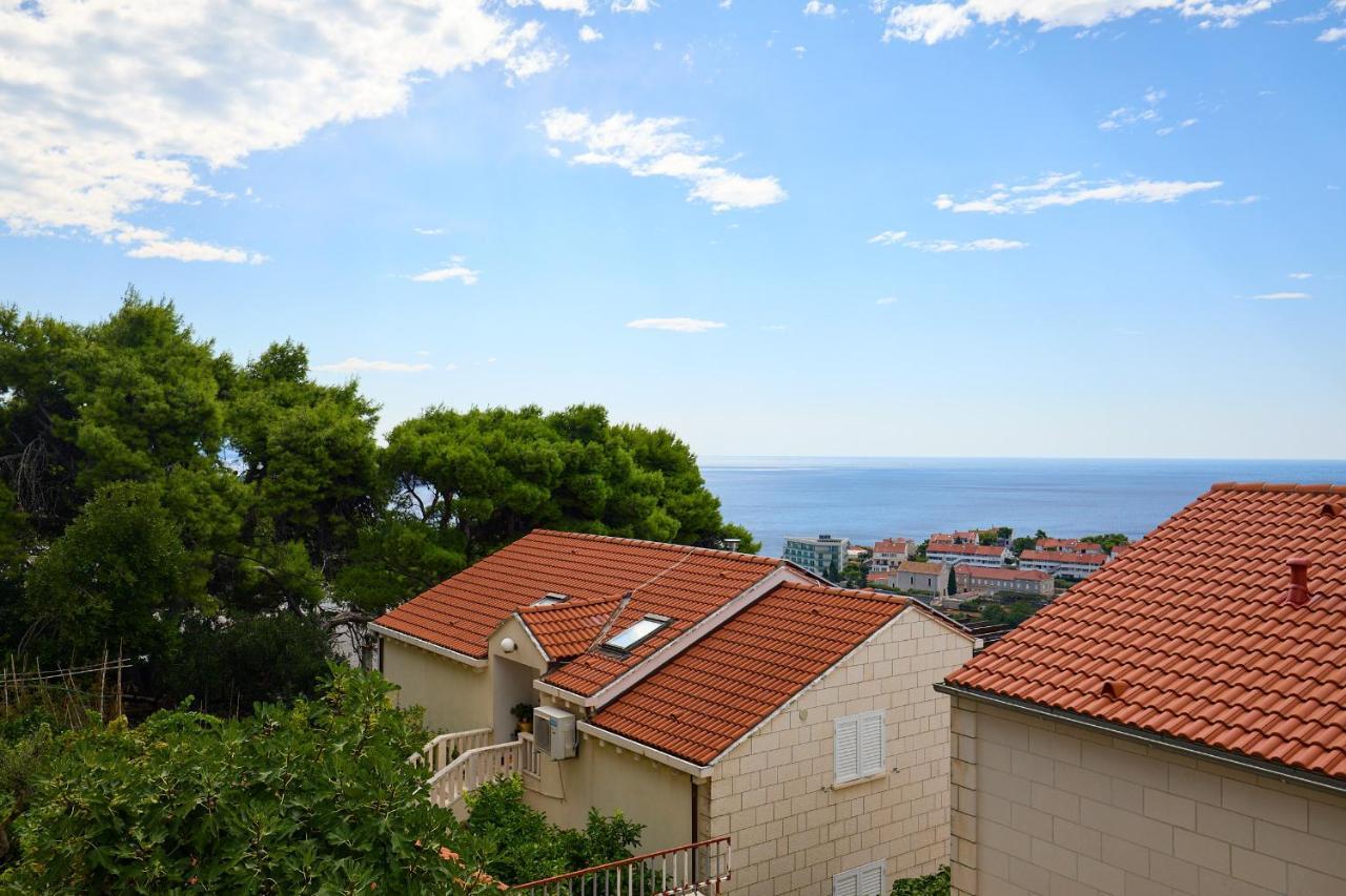 Hedera Estate Hedera Studio 1 Dubrovník Exteriér fotografie